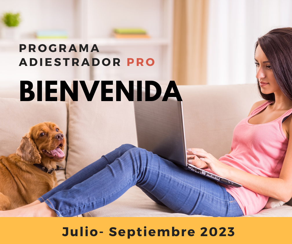 Programa Adiestrador Pro Jul-Sep 2023