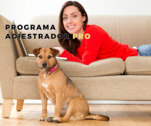 Programa Adiestrador Pro Generación 2024