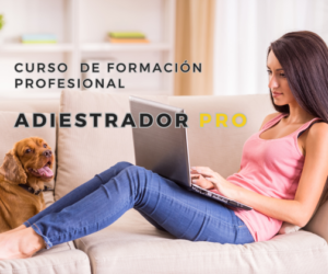 Curso de Formación Profesional Adiestrador Pro